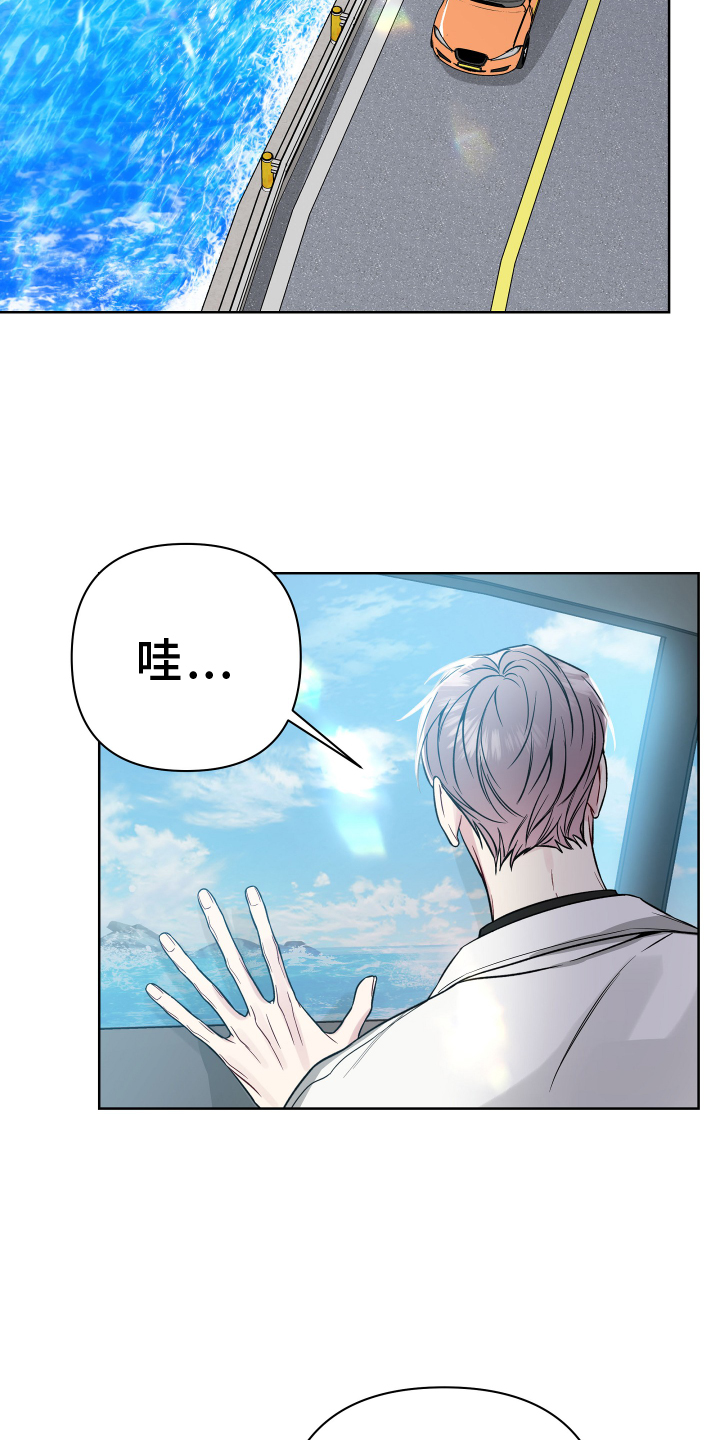 第116章：正式表白10