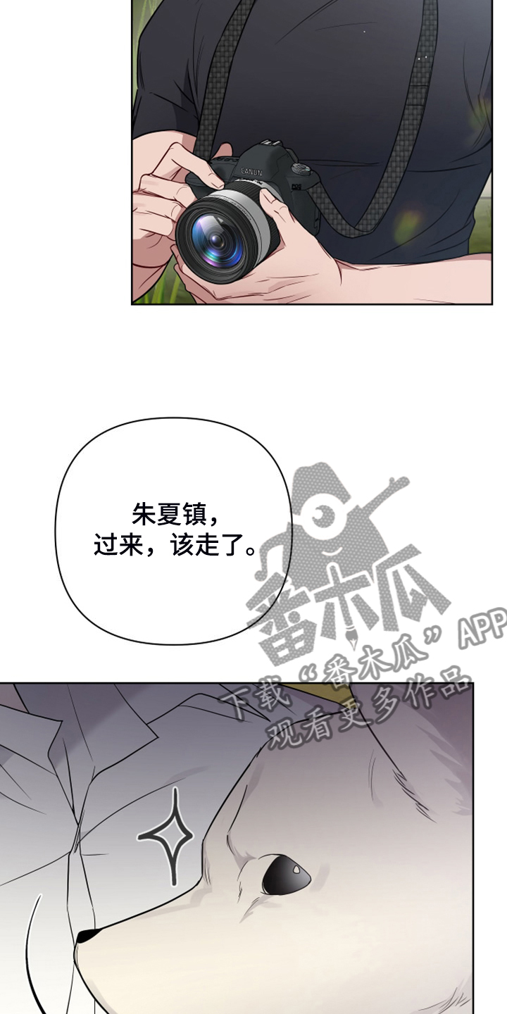 第59章：凶悍的小狗13