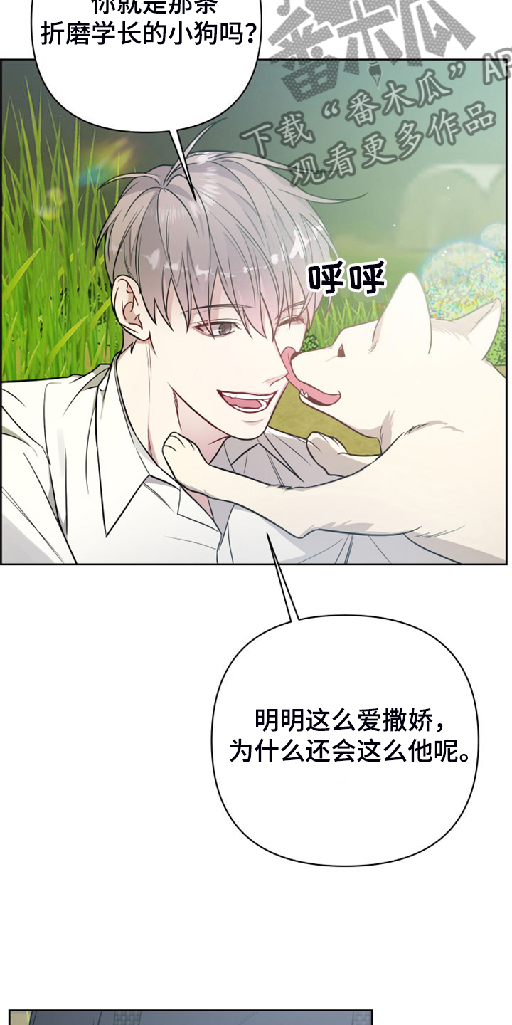 第59章：凶悍的小狗11