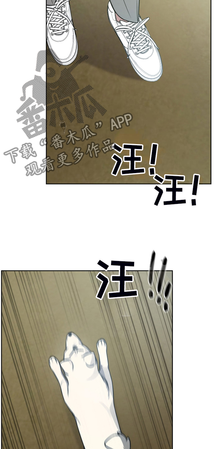 第59章：凶悍的小狗16