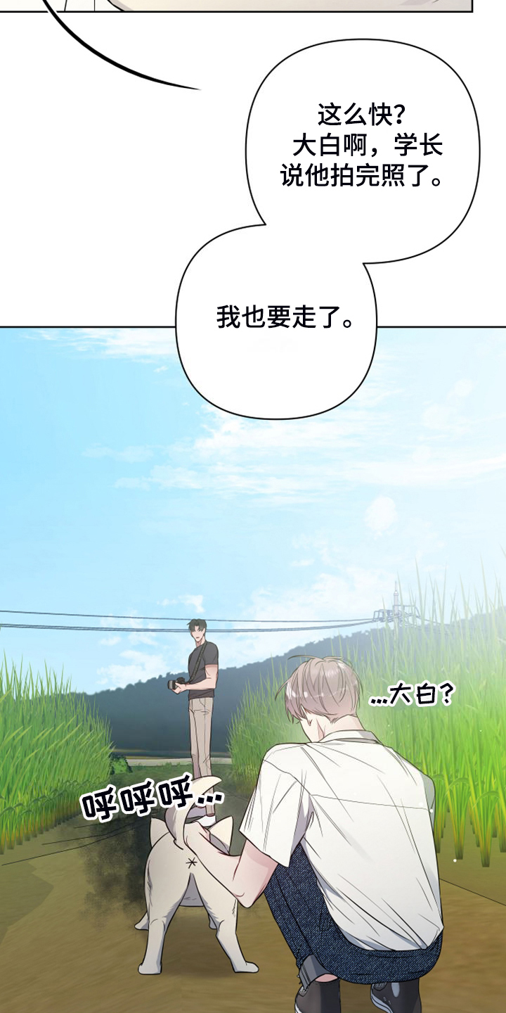 第59章：凶悍的小狗14