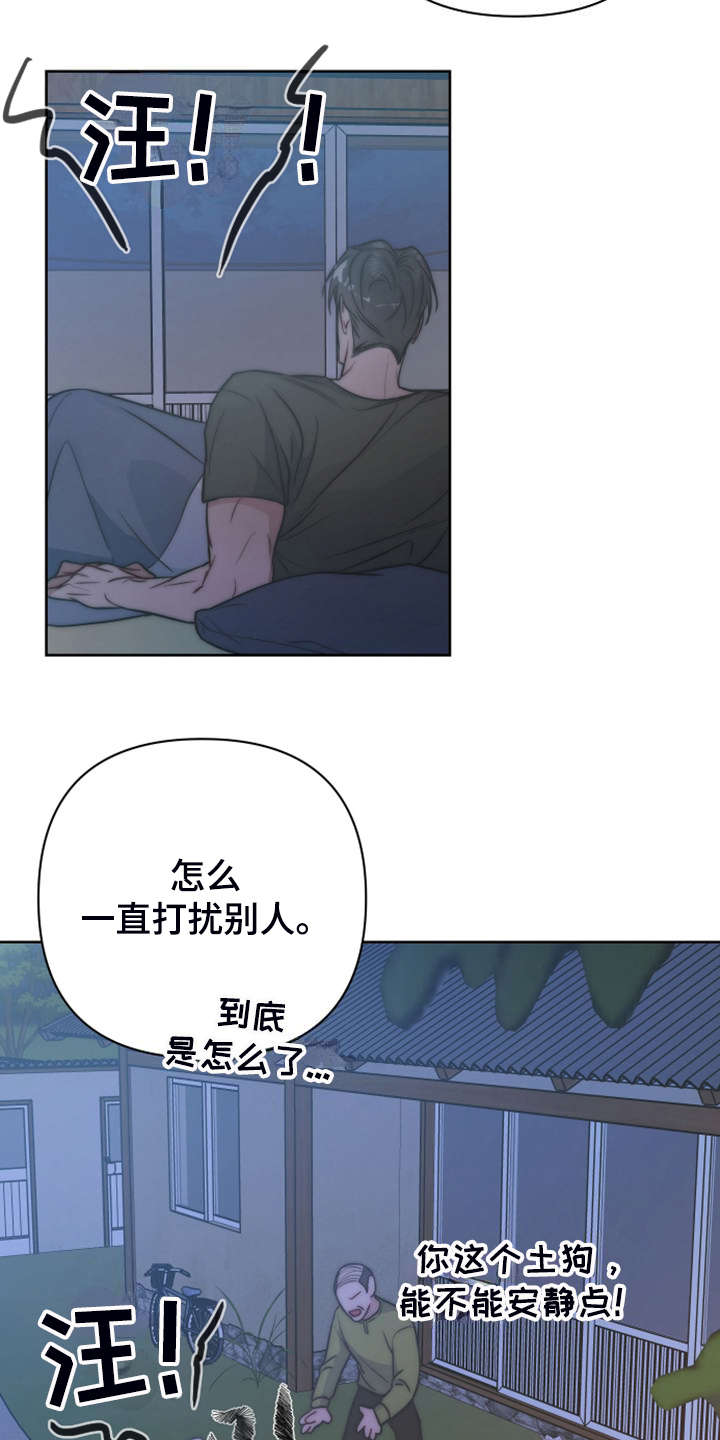 第59章：凶悍的小狗2