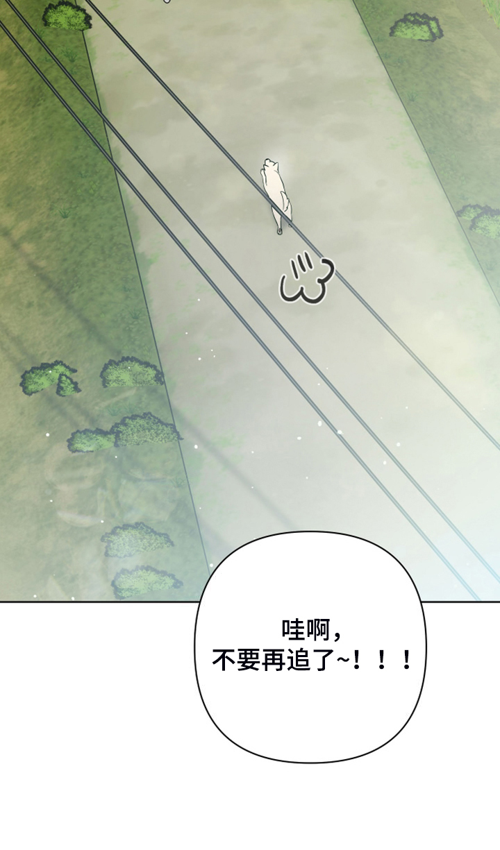 第59章：凶悍的小狗19