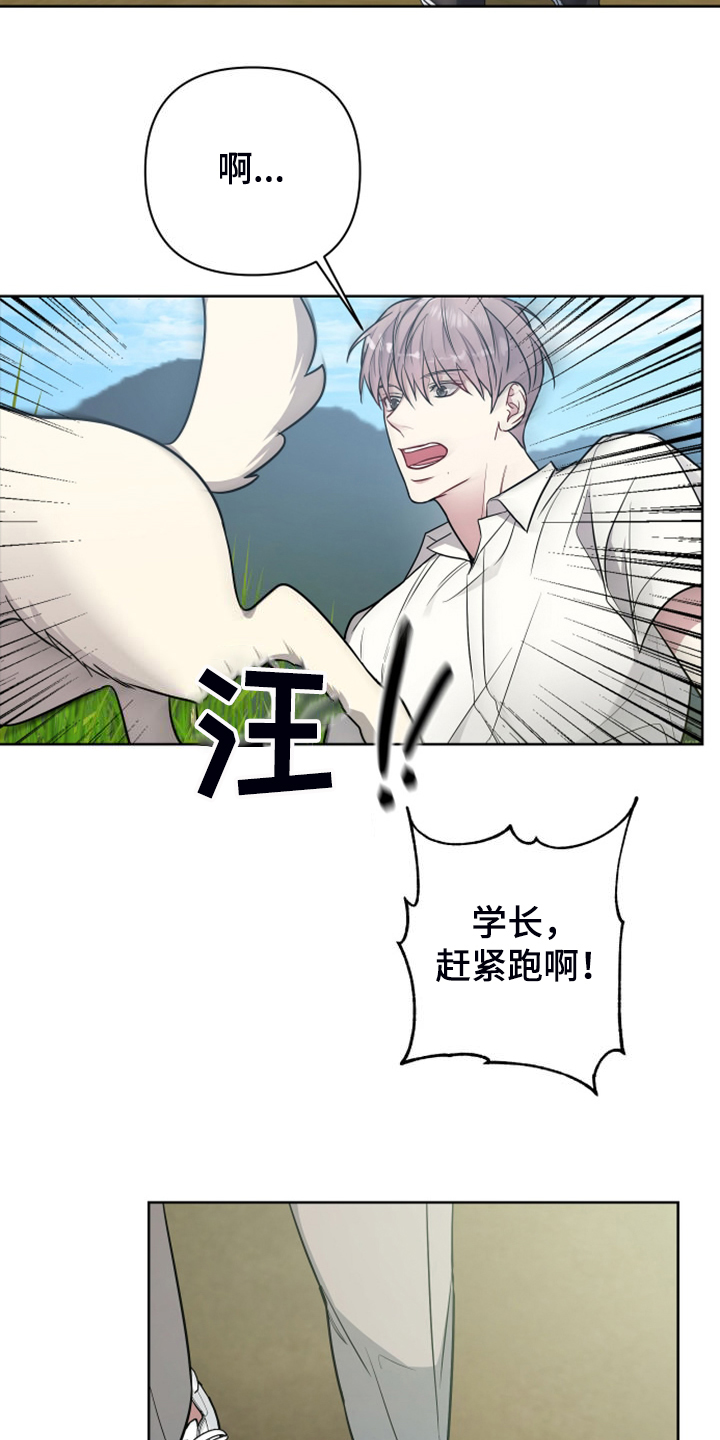第59章：凶悍的小狗15