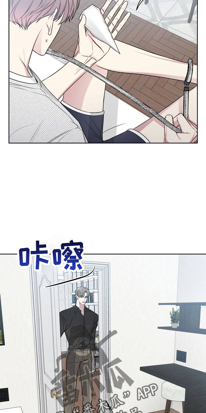 第96章：好想见学长17