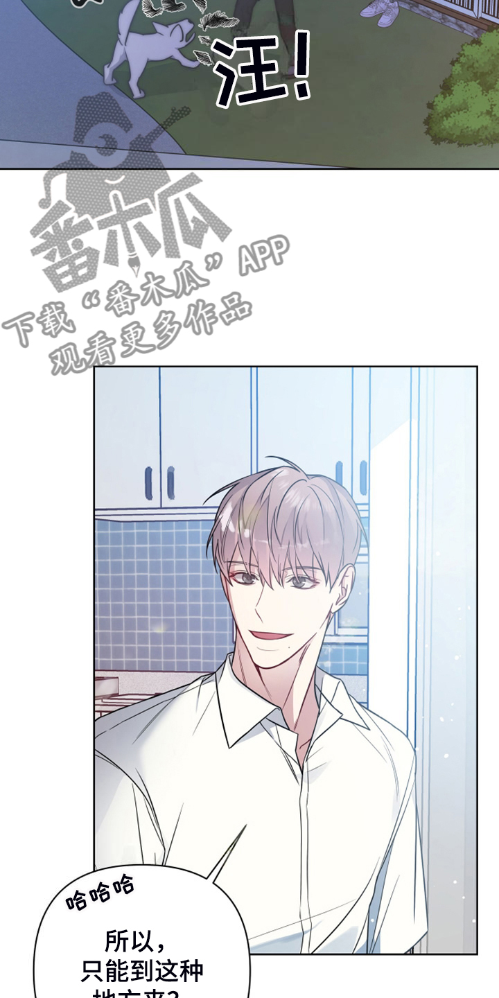 第59章：凶悍的小狗3