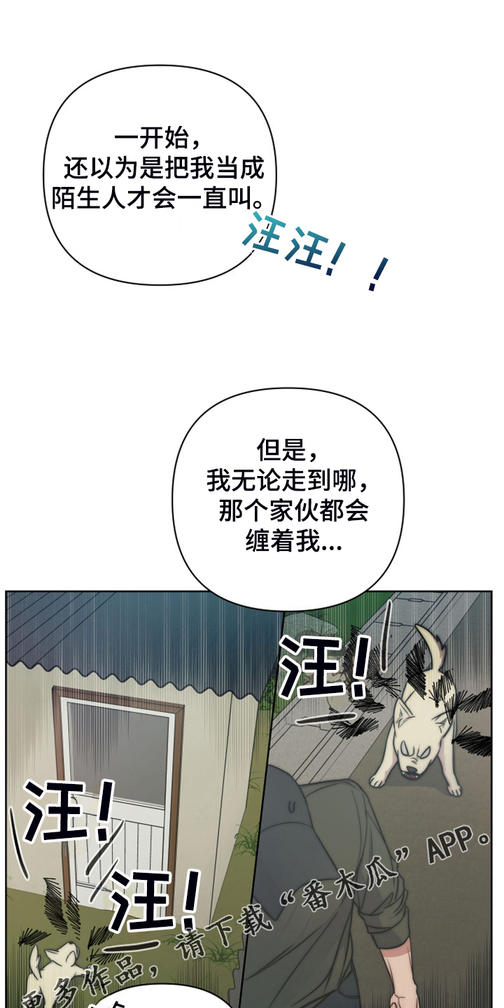 第59章：凶悍的小狗0