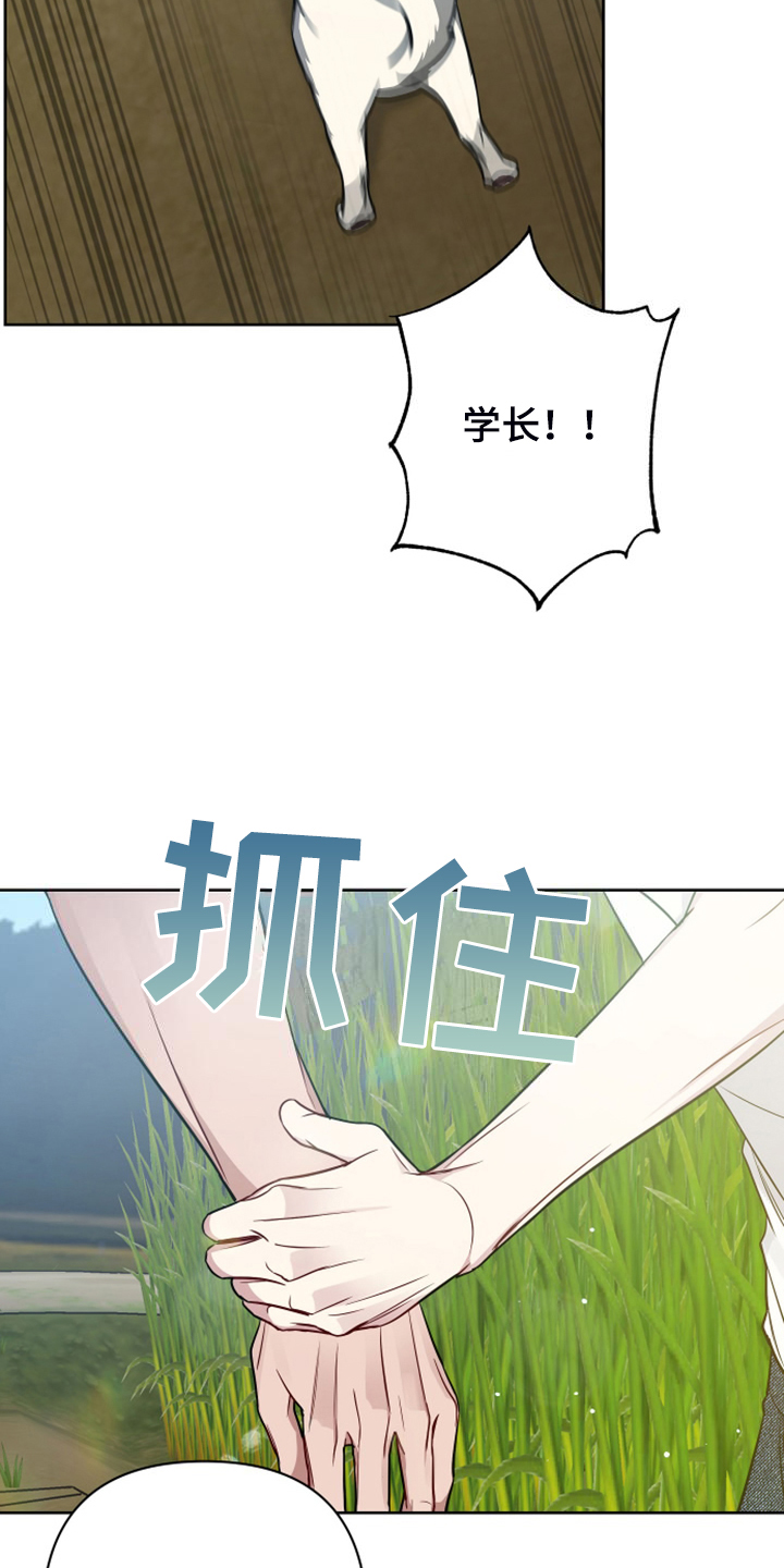 第59章：凶悍的小狗17