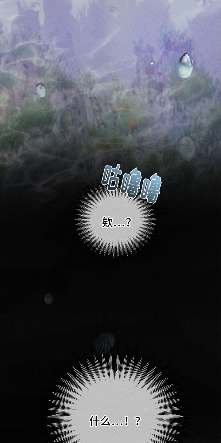 第1章：许愿17
