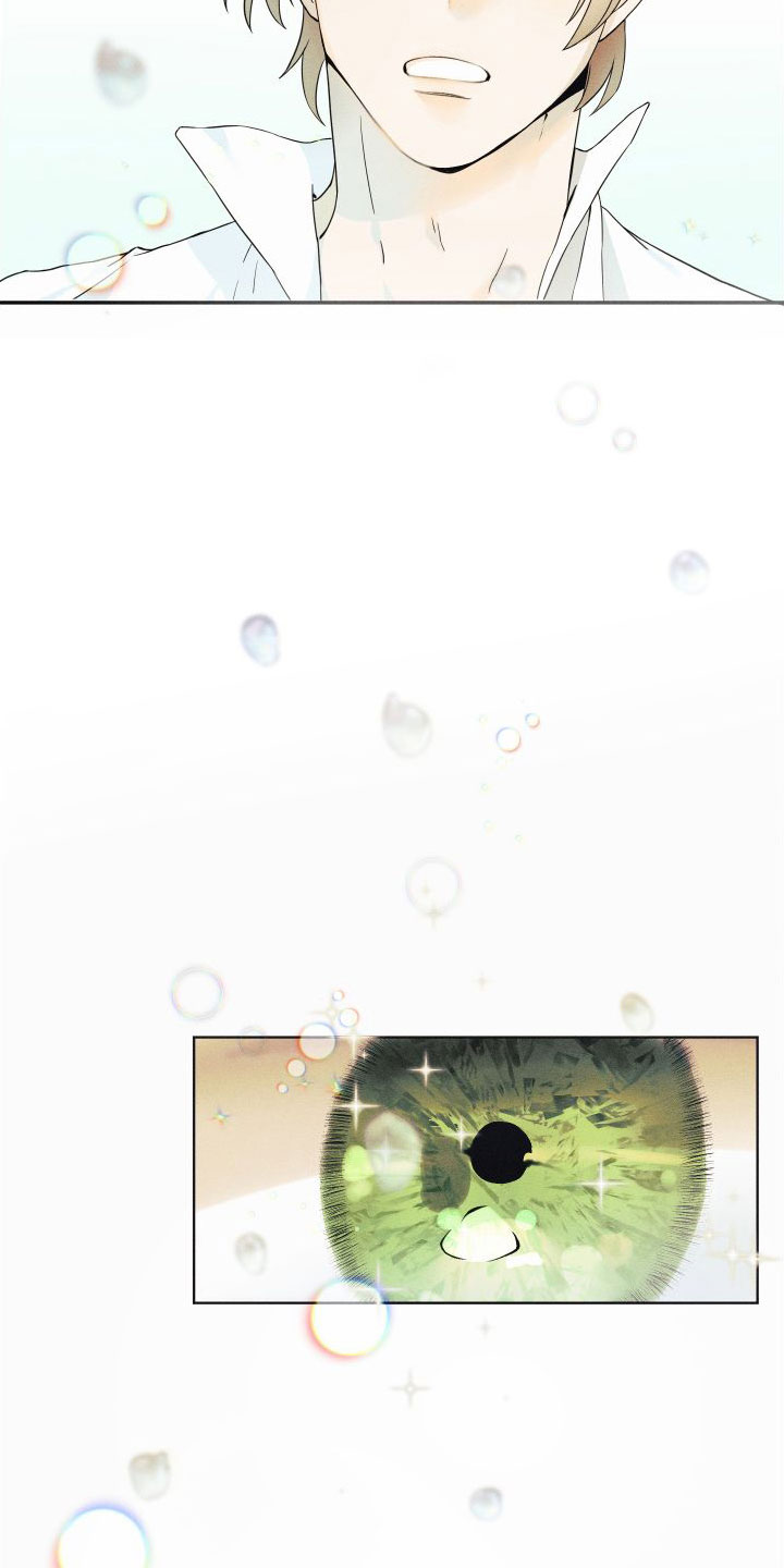 第1章：许愿11