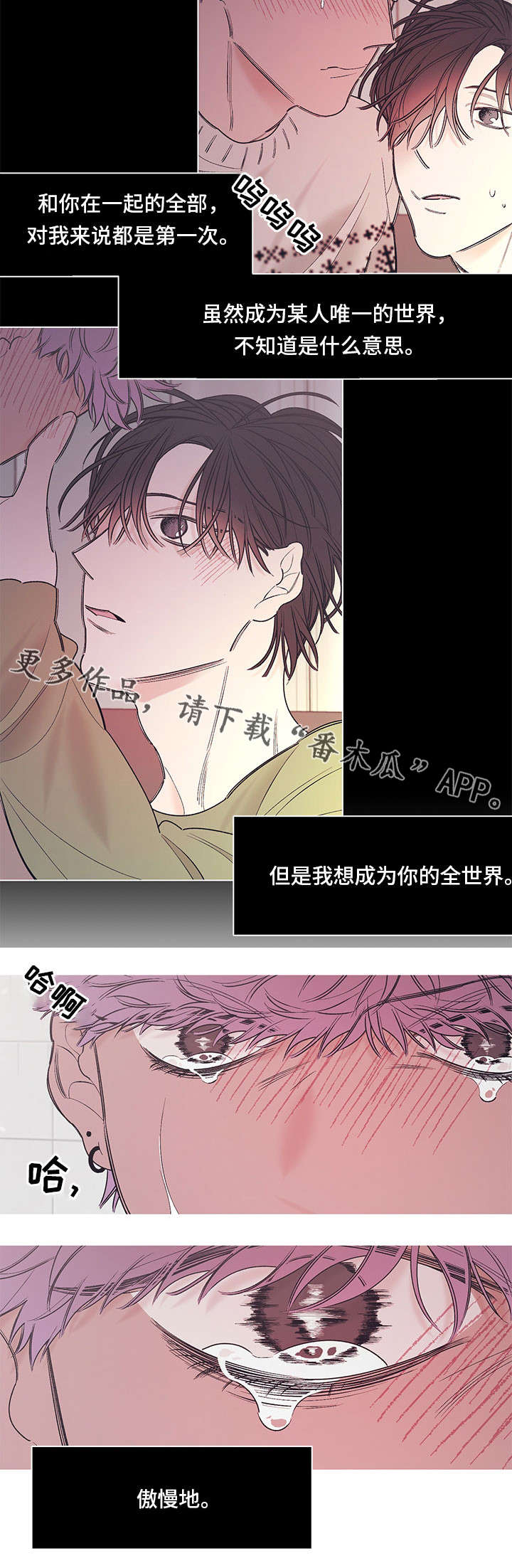 第12章：眼泪5