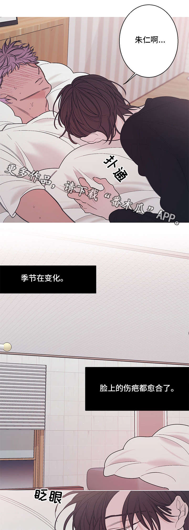 第16章：告别11