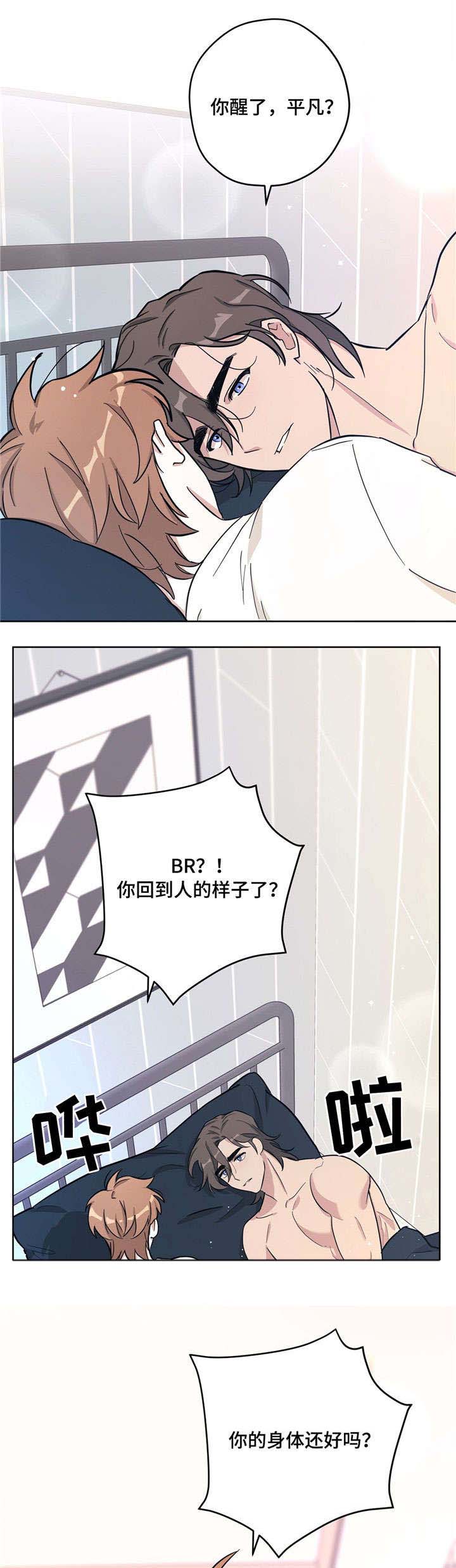 第28章：目的7