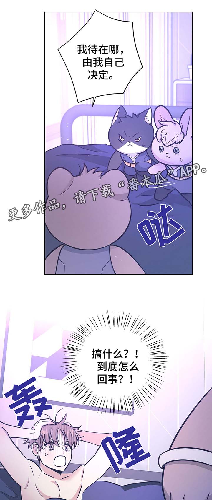 第31章：结婚7