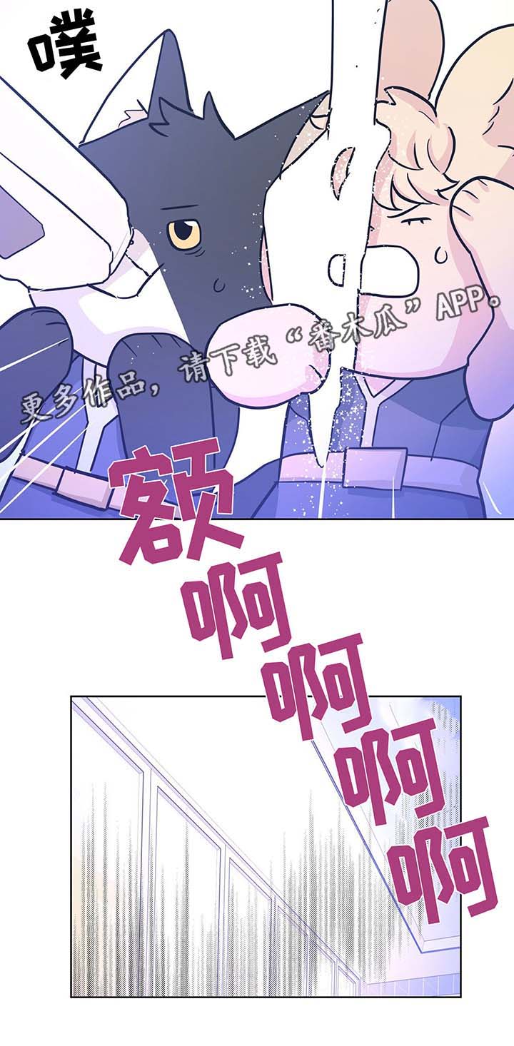 第32章：不想失去你17