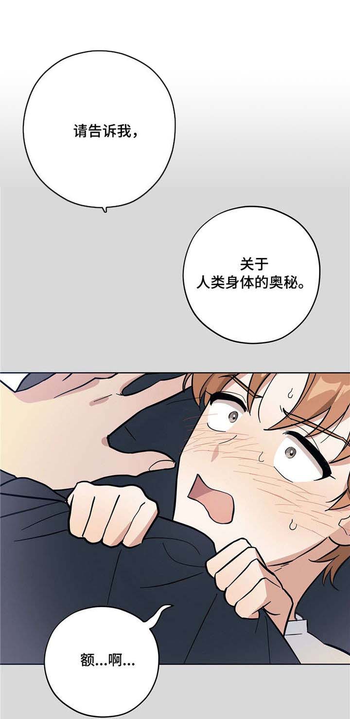第8章：人体奥秘3