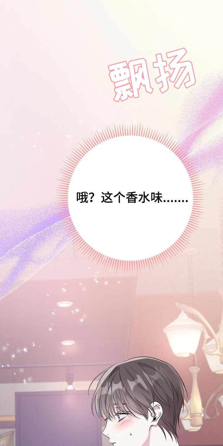 第27章：理想型27