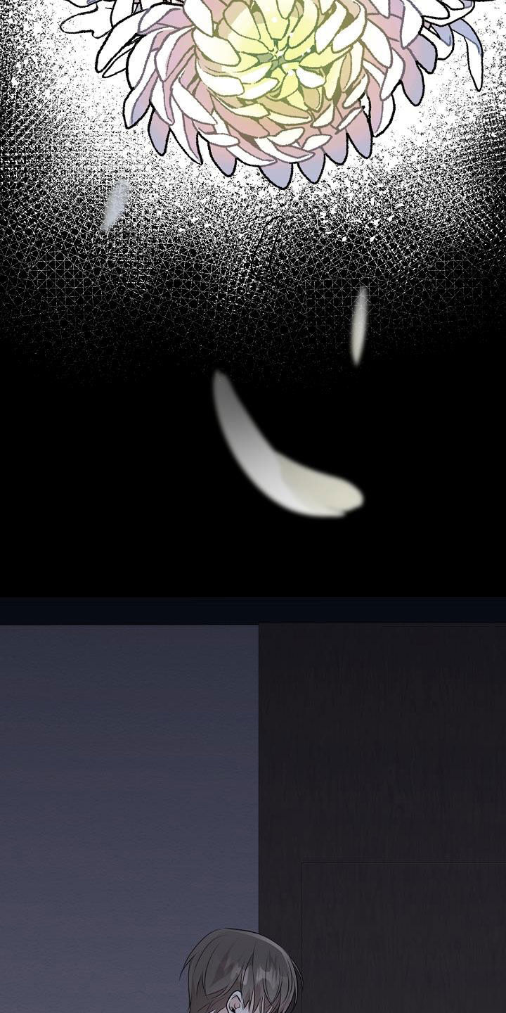 第20章：家庭32