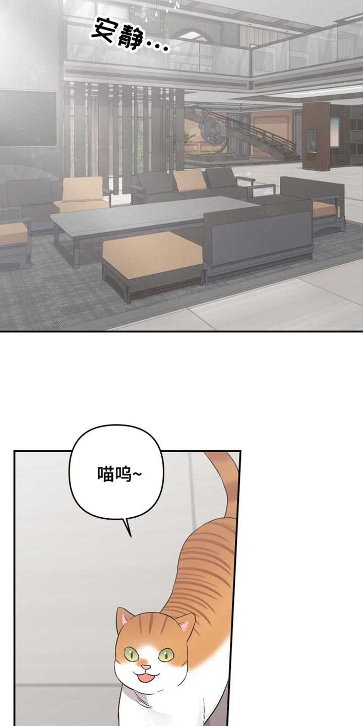 第165章：【第二季】结束了12