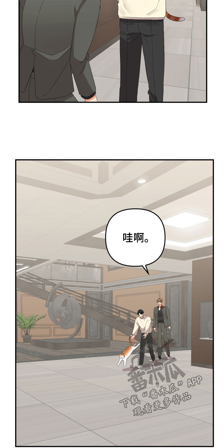 第115章：【第二季】更擅长的11