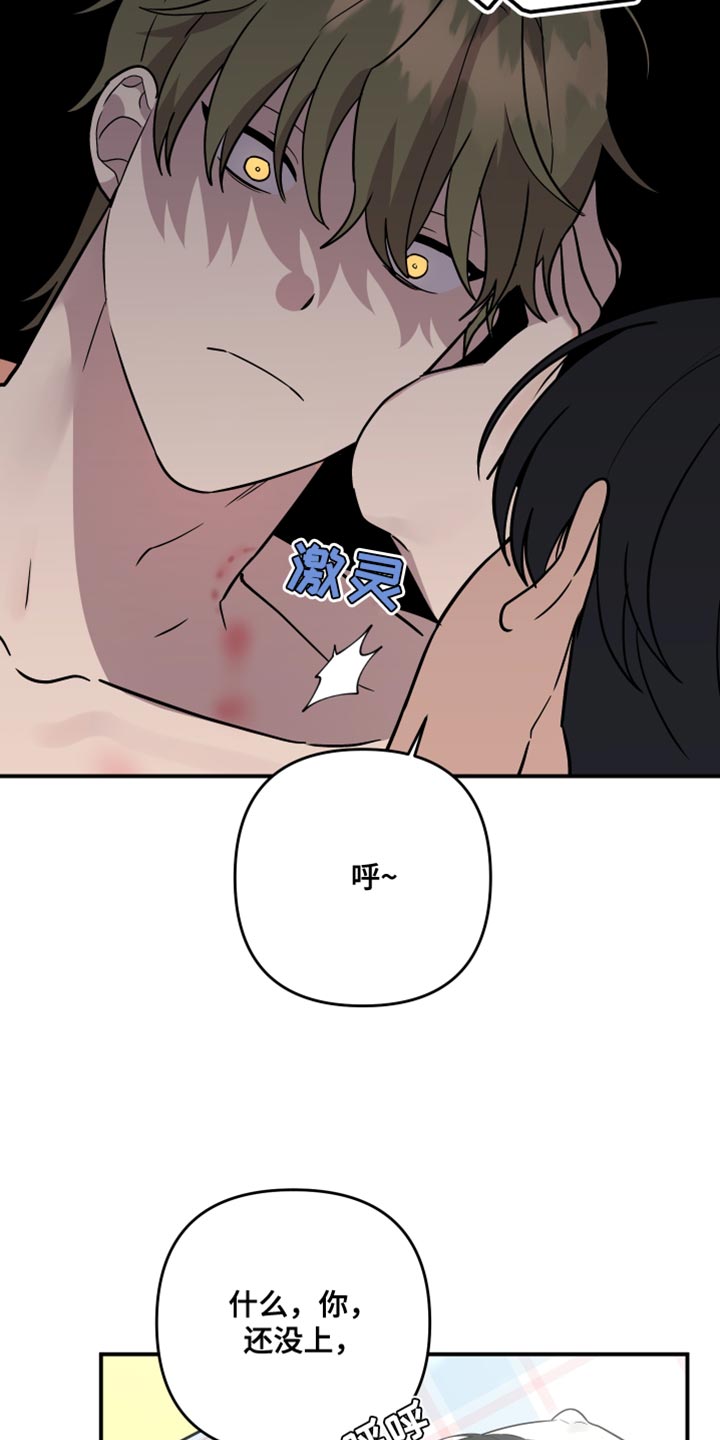 第179章：【第二季】宠物店的猫7