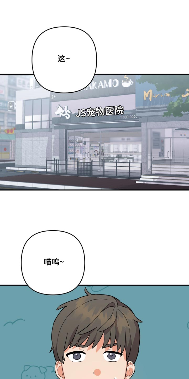 第179章：【第二季】宠物店的猫16