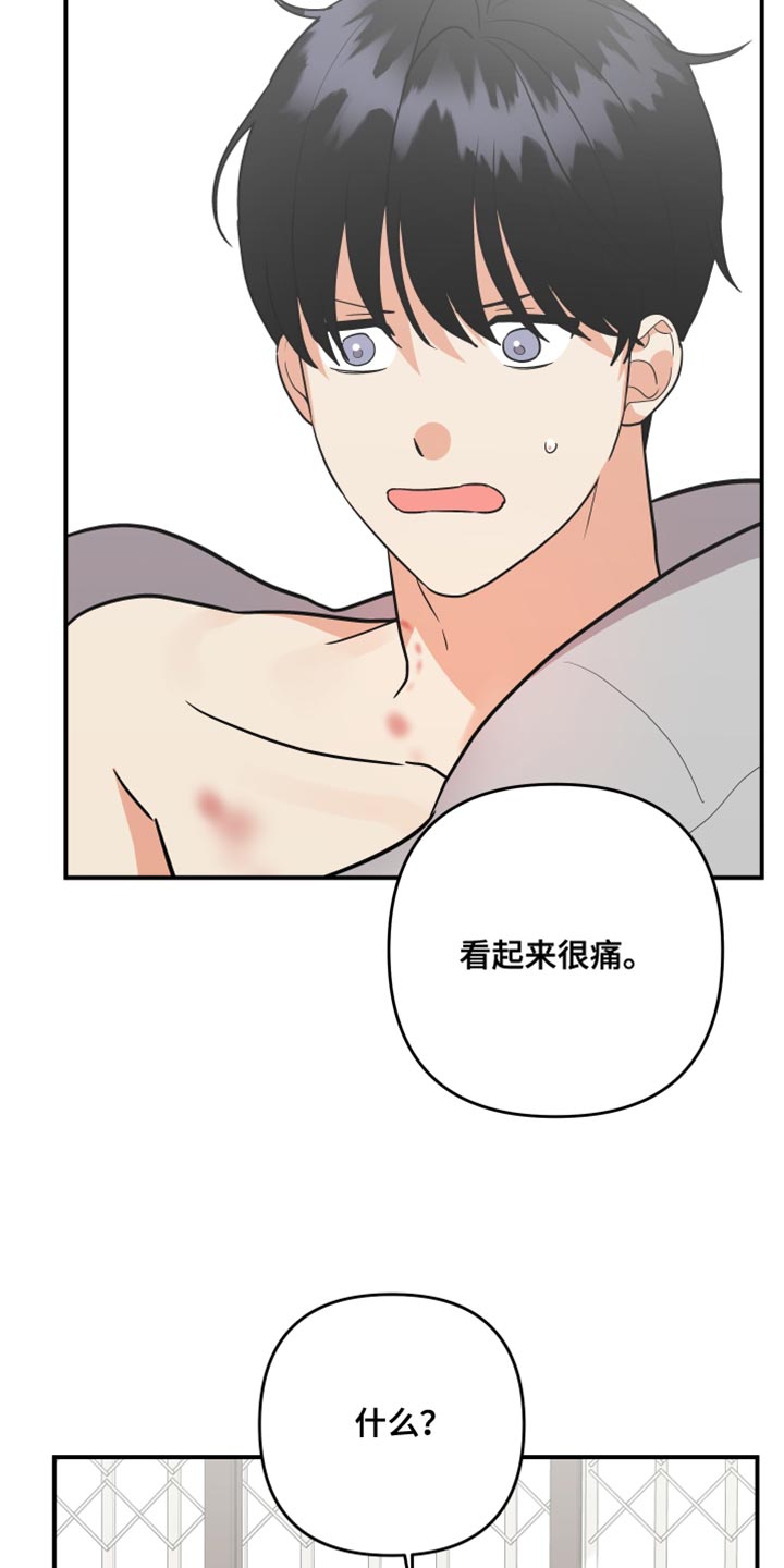 第179章：【第二季】宠物店的猫9