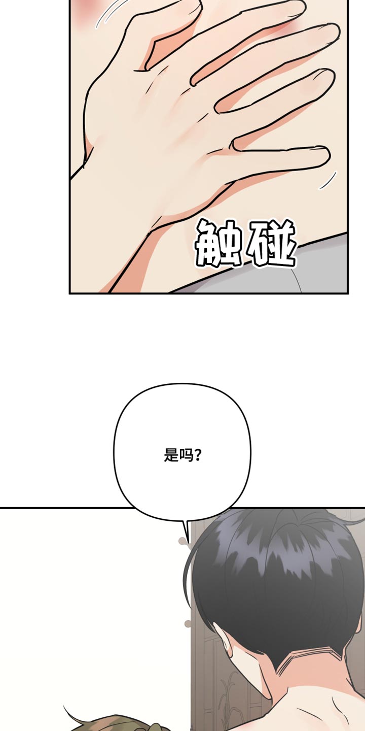 第179章：【第二季】宠物店的猫12