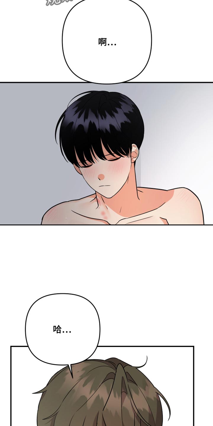 第179章：【第二季】宠物店的猫1