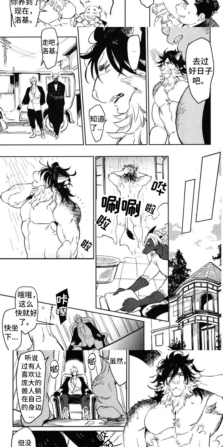 第1章：兽人拳击手5