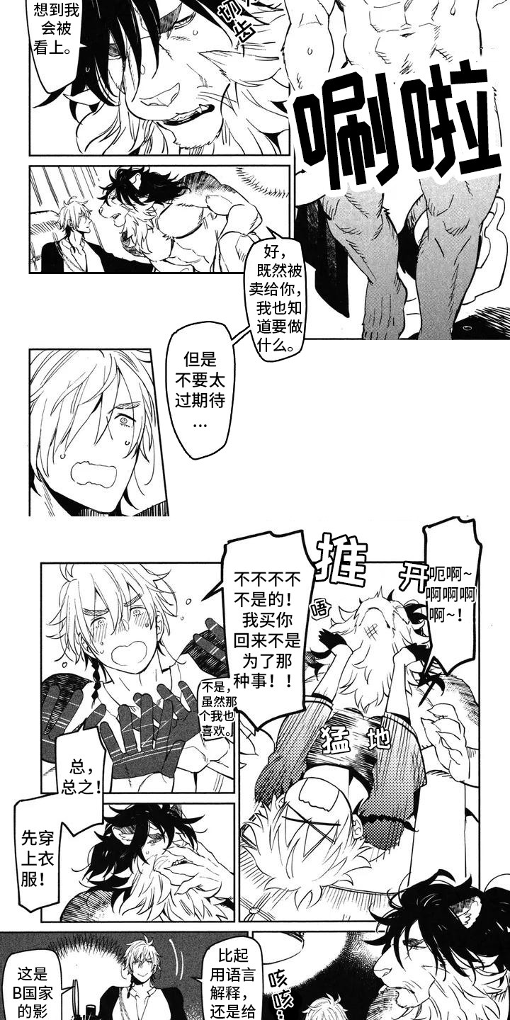第1章：兽人拳击手6