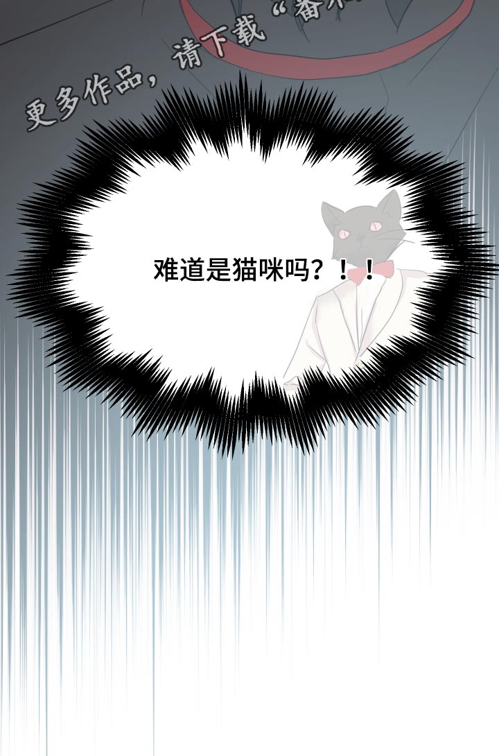 第36章：可疑21