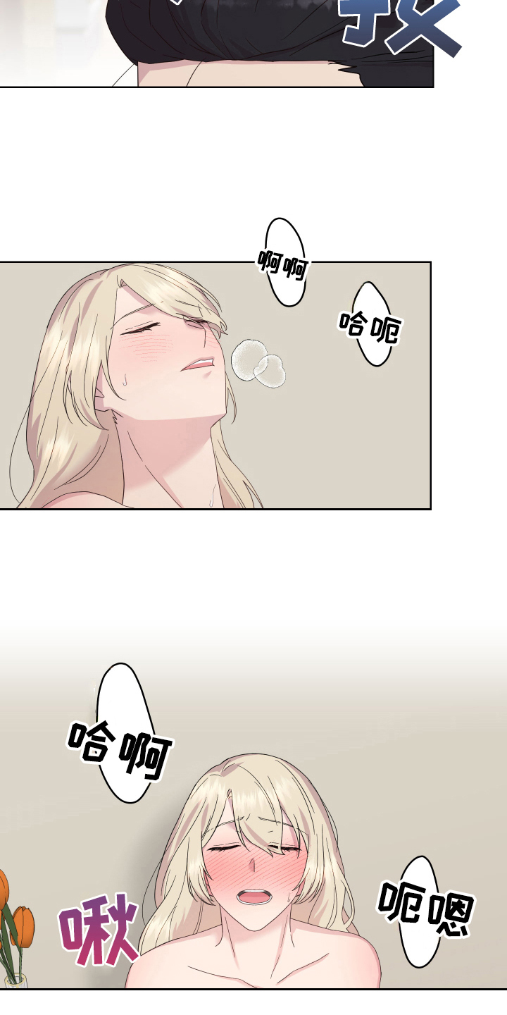 第17章：证明10