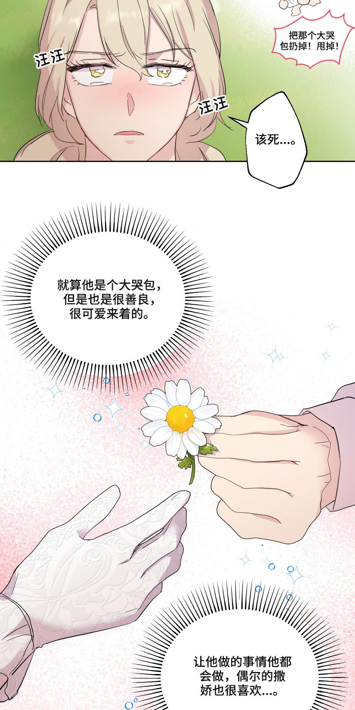 第29章：猫咪4