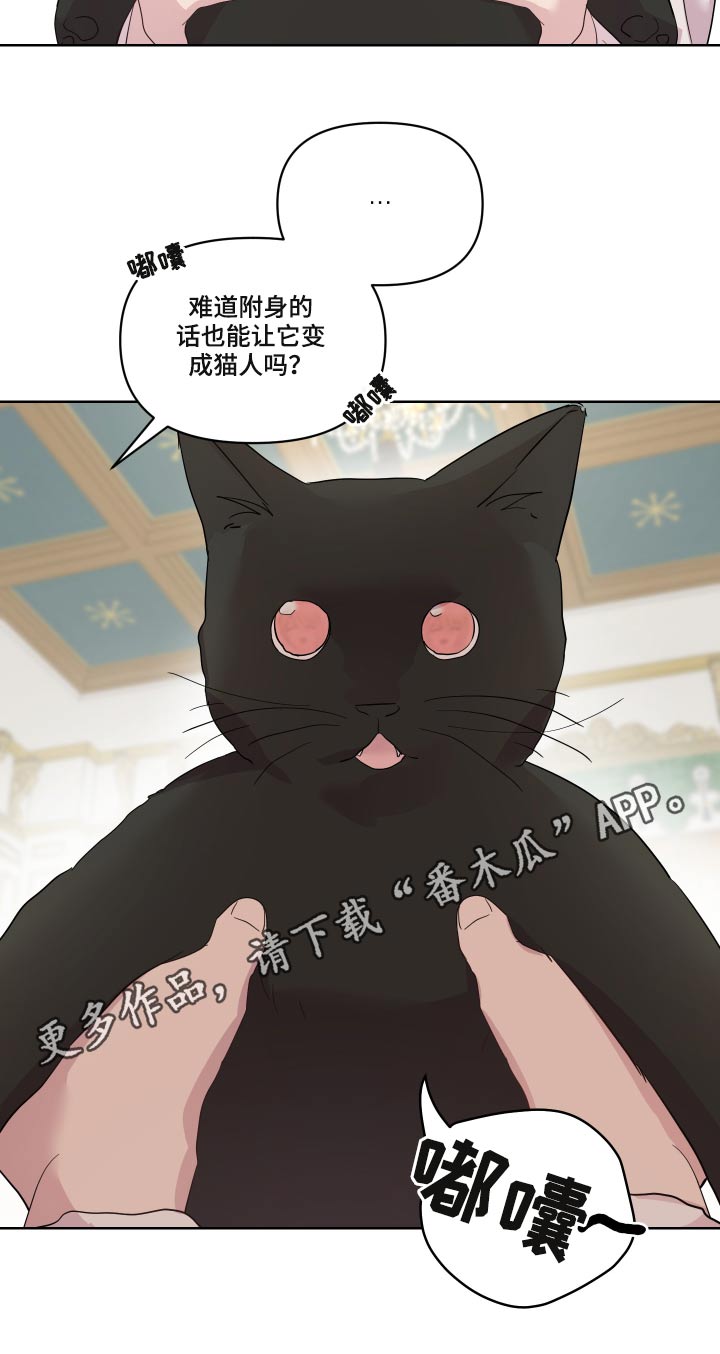 第29章：猫咪18