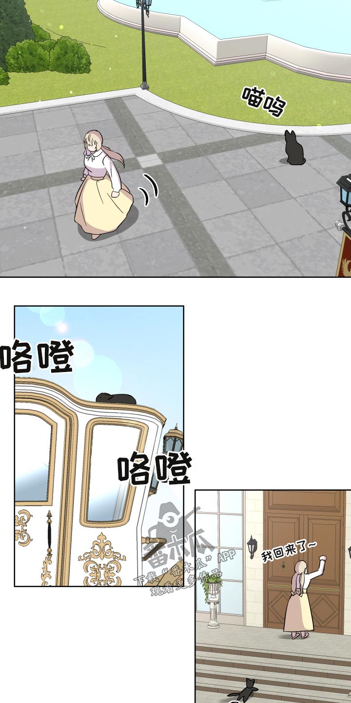 第29章：猫咪12