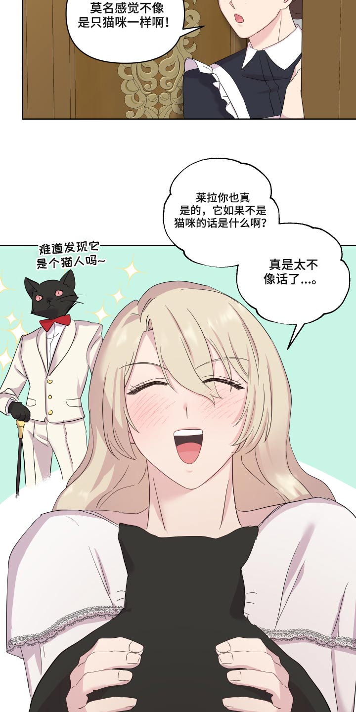 第29章：猫咪17