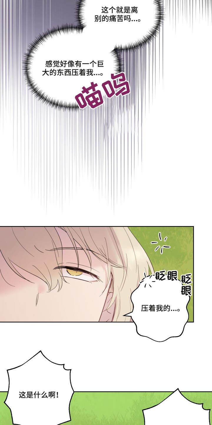 第29章：猫咪7