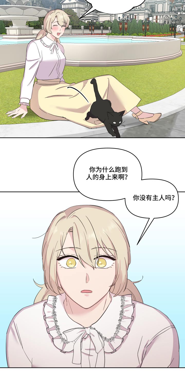第29章：猫咪9