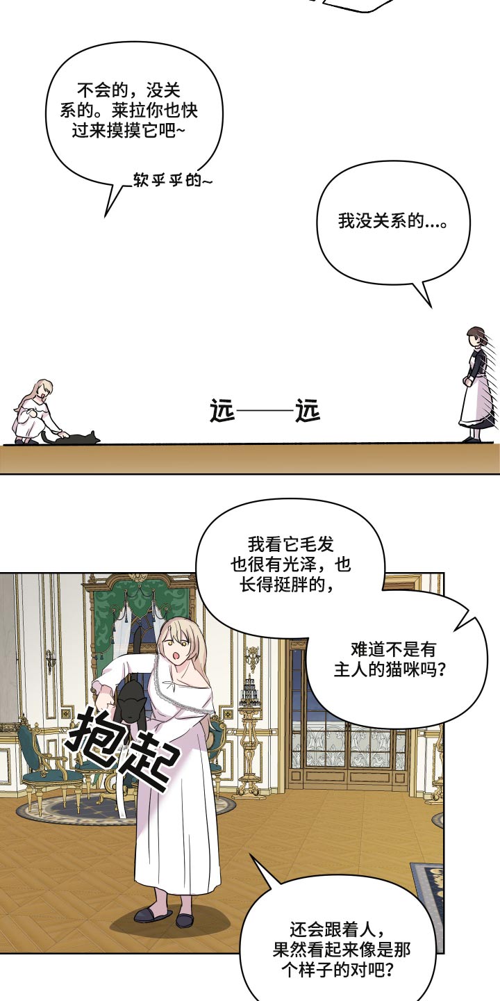 第29章：猫咪15