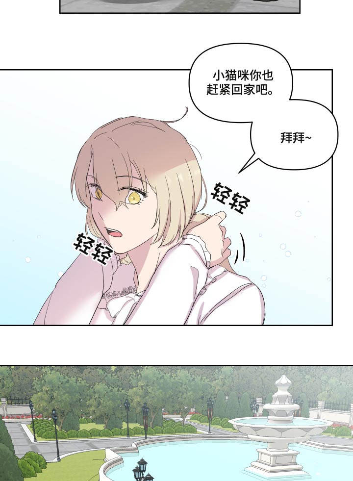 第29章：猫咪11