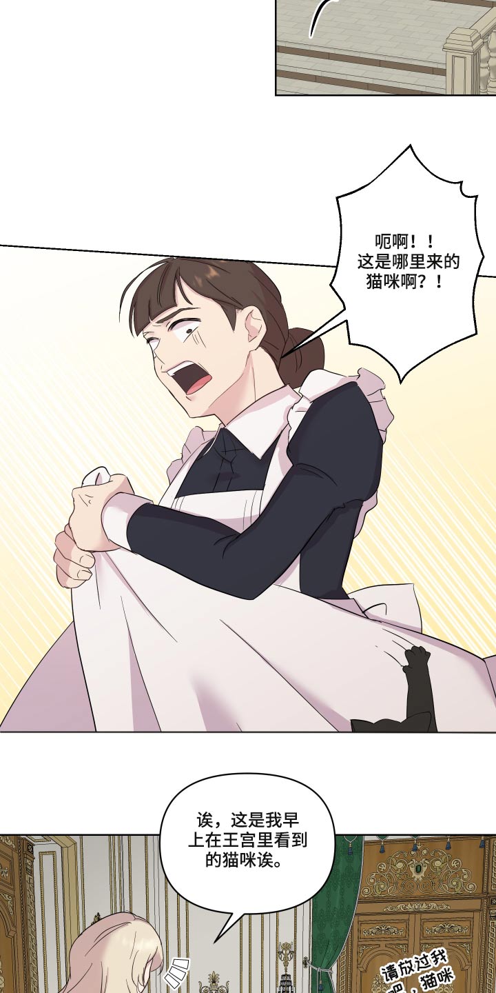 第29章：猫咪13
