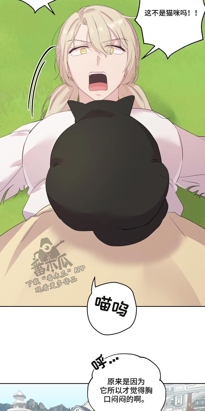 第29章：猫咪8