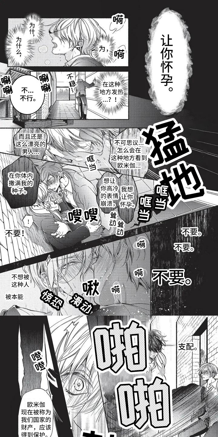 第1章：命运的伴侣0
