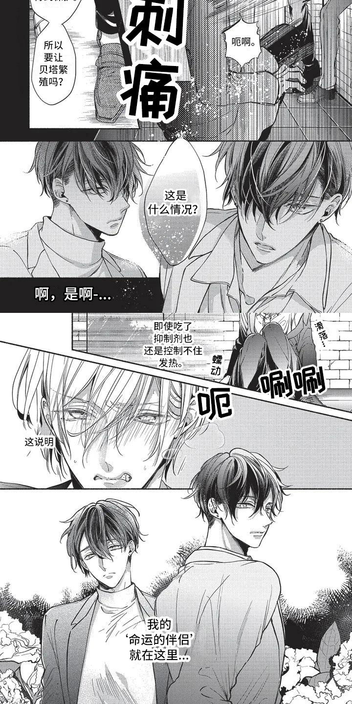第1章：命运的伴侣1
