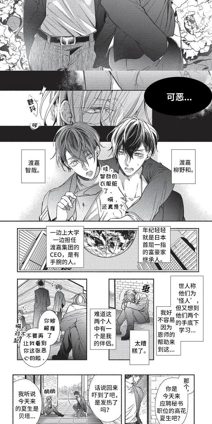 第1章：命运的伴侣2