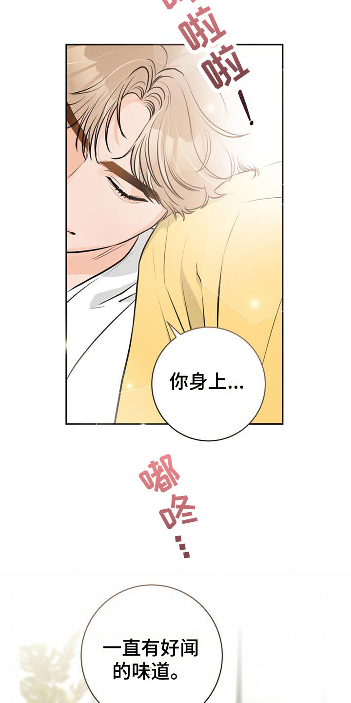 第17章：号码5