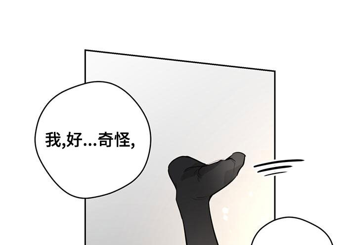 第32章：我保证3