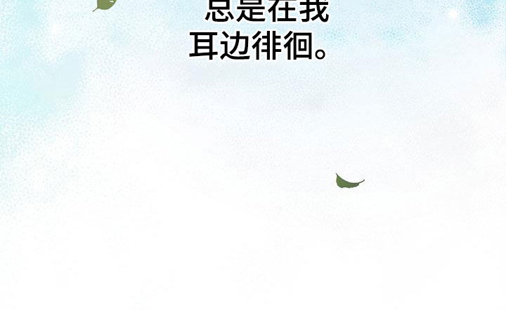 第28章：抓住机会31