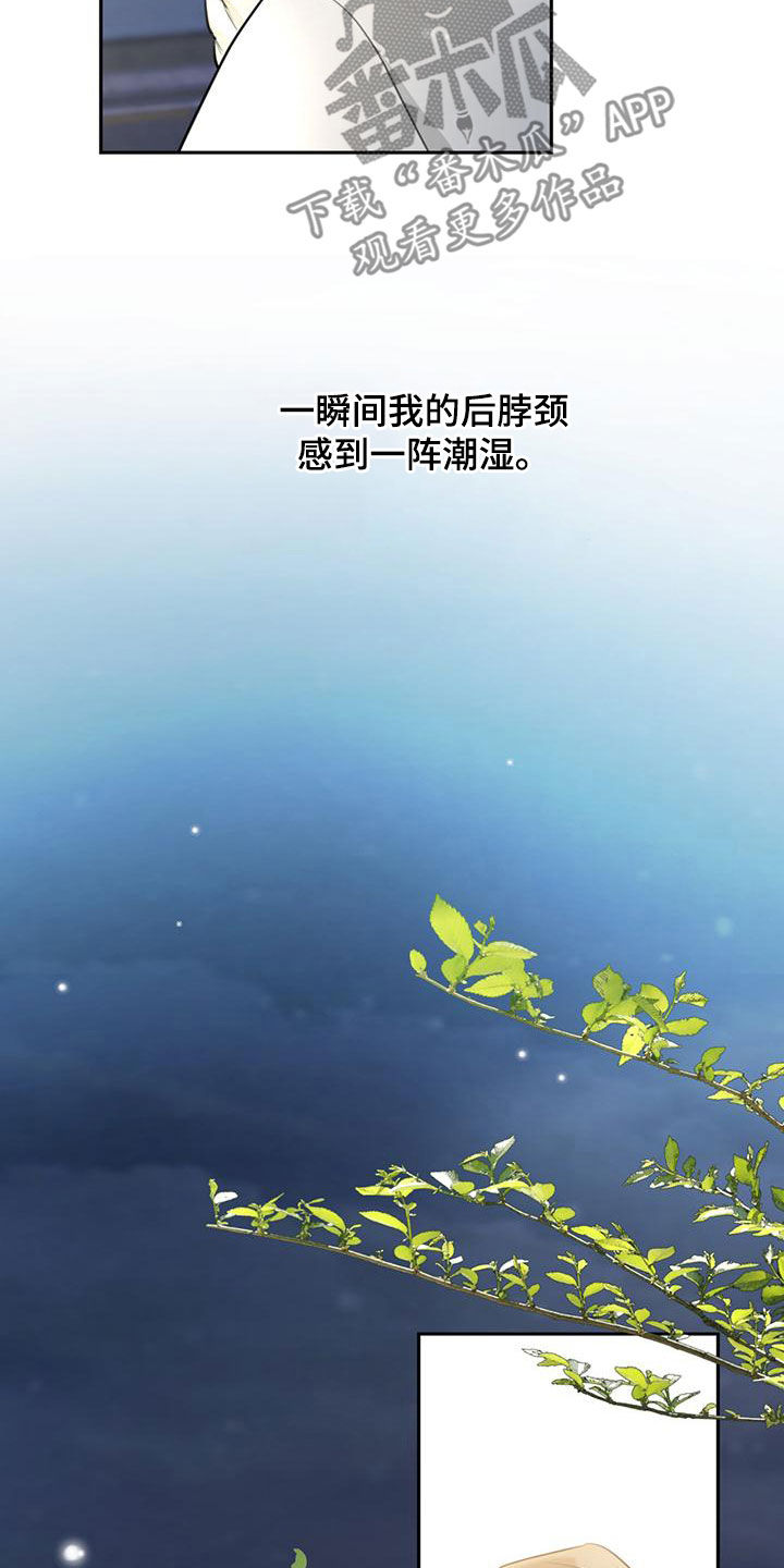 第28章：抓住机会28
